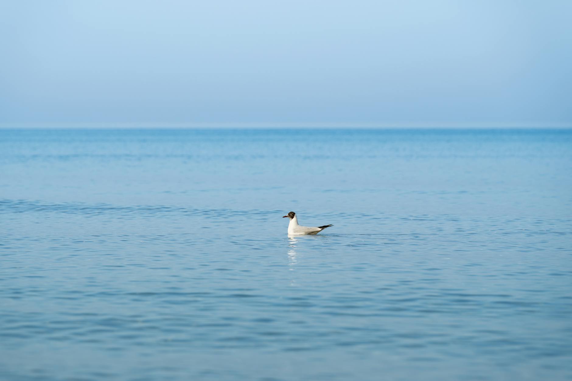 Prognoza pogody w Cieszynie na kwiecień 2026 - mapa z ikonami słońca i chmur